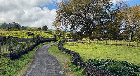 Photo of Upcountry