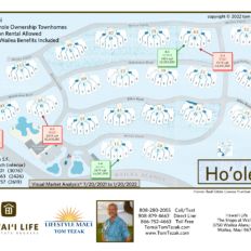 Ho’olei Visual Market Analysis & Map