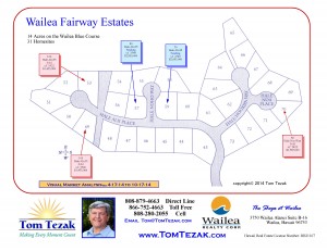 Wailea-Fairway-Estates-10-17-14