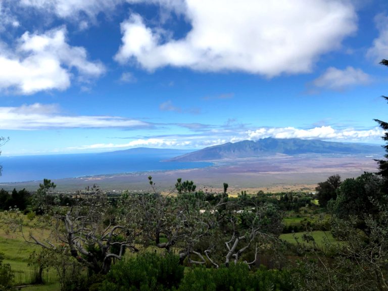 What Region should I live on Maui